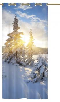 Ösenschal Traumwinter - Winter Ösenvorhang